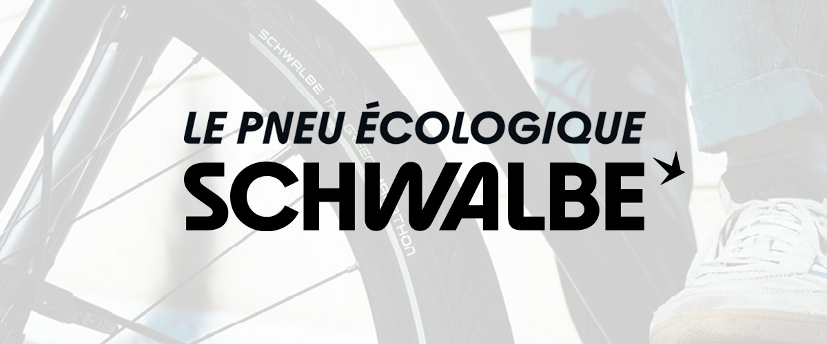 Green Marathon de Schwalbe